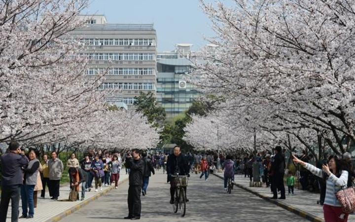 同济大学